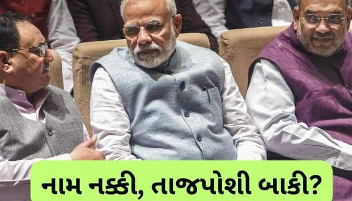 માત્ર નામની જાહેરાત બાકી, BJP એ નક્કી કરી લીધા રાષ્ટ્રીય અધ્યક્ષ? PM મોદીની પસંદ પર