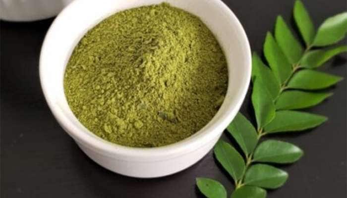 Belly Fat: પેટની ચરબીને એક મહિનામાં ઓગાળી નાખશે આ પાન, રોજ વાસી મોઢે 5 પાન ચાવી લેવા