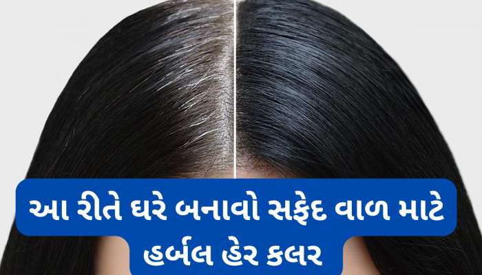White Hair Solution: નેચરલ વસ્તુઓની મદદથી ઘરે 10 મિનિટમાં બનાવો હર્બલ હેર કલર, માથાની સાથે દાઢીના સફેદ વાળ પર પણ યુઝ કરી શકો છો