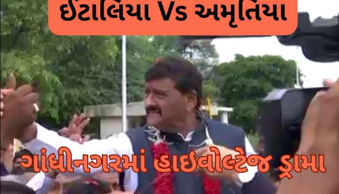 કાનાનો પોલિટિકલ સ્ટંટ, 2027 ની તૈયારી કે પછી...? કાંતિ અમૃતિયા રાજીનામું આપ્યા વગર પરત ફર્યા