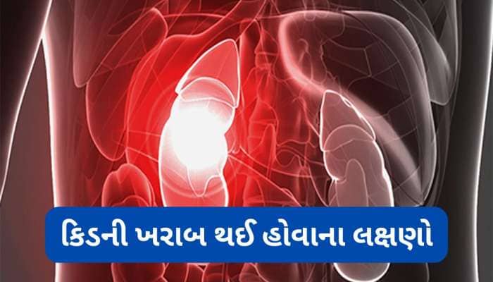 કિડની ડેમેજ થાય ત્યારે શરીરમાં દેખાય છે આ લક્ષણો, ધ્યાન ન આપો તો કિડની થઈ જાય ફેલ