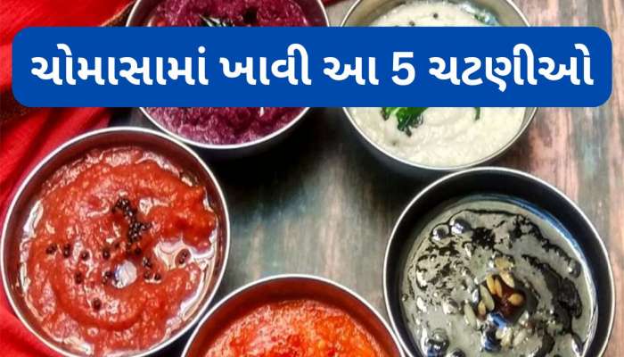 Tasty Chutneys: ચોમાસામાં આ 5 ચટણી ભોજન સાથે ખાશો તો જીભને સ્વાદ મળવાની સાથે શરીરને લાભ પણ મળશે