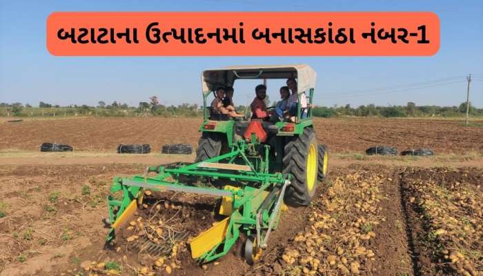 ફ્રેન્ચ ફ્રાઈસમાં વપરાતા બટાટાના ઉત્પાદનમાં ગુજરાતે બાજી મારી, 48.59 લાખ ટન ઉત્પાદન