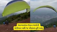 મોતનો લાઈવ વીડિયો! હિમાચલમાં પેરાગ્લાઈડિંગ અકસ્માતમાં અમદાવાદી યુવકનું મોત