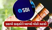 SBIએ ગ્રાહકોને આપ્યો મોટો ઝટકો, આ FD પર ઘટાડ્યું વ્યાજ, જાણો નવા રેટ