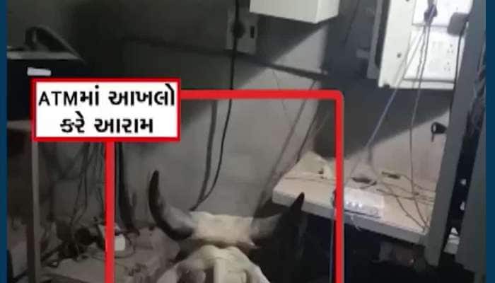 VIDEO: બનાસકાંઠા,થરાદમાં ખાનગી બેંકના ATM સેન્ટરમાં આખલો દેખાયો,લોકોમાં ખળભળાટ મચ્યો