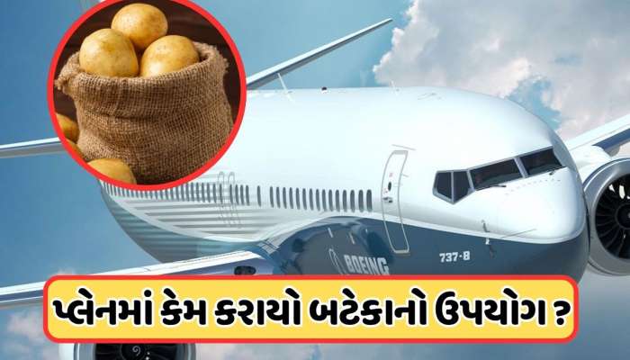 બોઇંગ કંપનીએ વિમાનની સીટ પર બટાકાના બોરીઓ કેમ મૂકી? જાણો તેમણે શું ટેસ્ટ કર્યું