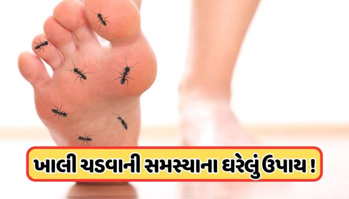 હાથ-પગમાં વારંવાર ચડી જાય છે ખાલી ? જાણો તેની પાછળના કારણો અને ઘરેલું ઉપાયો