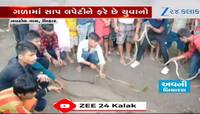 VIDEO:બિહારમાં યોજાય છે સાપનો પારંપરિક મેળો, એ પણ ઝેરીલા! લોકોએ સાપને ગળામાં પહેર્યા