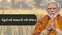 PM ધન ધાન્ય કૃષિ યોજનાને સરકારની મંજૂરી, 1.7 કરોડ ખેડૂતોને થશે ફાયદો, જાણો વિગત