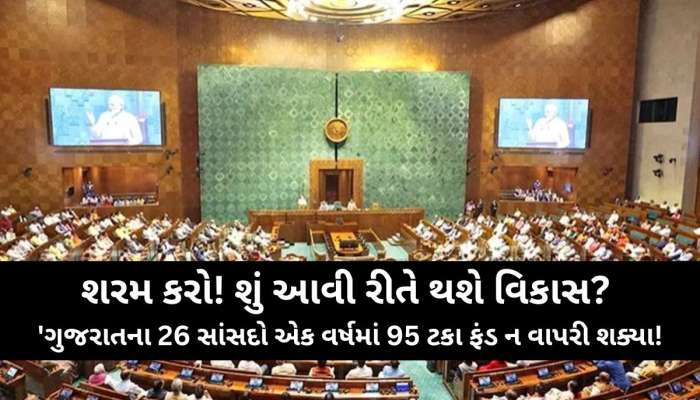 કયા મોંઢે માગશો મત! વિકાસની મોટી વાતો કરતા ગુજરાતના સાંસદોની ખૂલી પોલ, જાણો કંજૂસાઈનો આ અહેવાલ