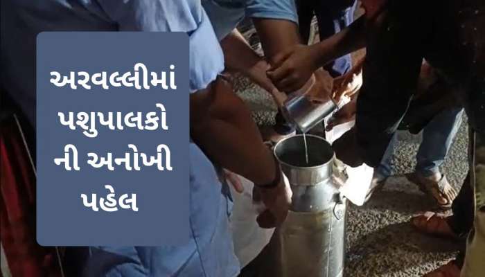 ઢોળીને કે મંડળી બંધ કરીને નહીં, લોકોને મફતમાં દૂધ આપી ગુજરાતમાં અહીં દૂધનો થયો સદુપયોગ!