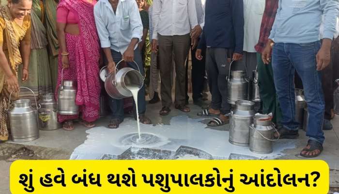 પશુપાલકોના વિરોધ સામે ઝુકી સાબર ડેરી, વાર્ષિક ભાવફેર પ્રતિ કિલો ફેટ મુજબ 995 ચૂકવશે