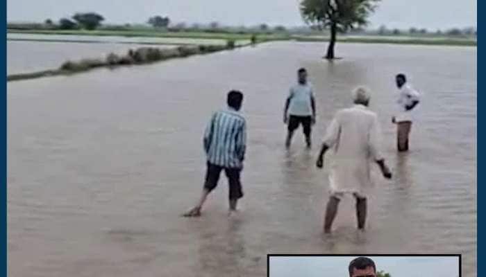 VIDEO: ખેતરો પાણીમાં ડૂબ્યા, હરિયાણાના ઝજ્જરમાં જ્યાં જુઓ ત્યાં તબાહીના દ્રશ્યો...