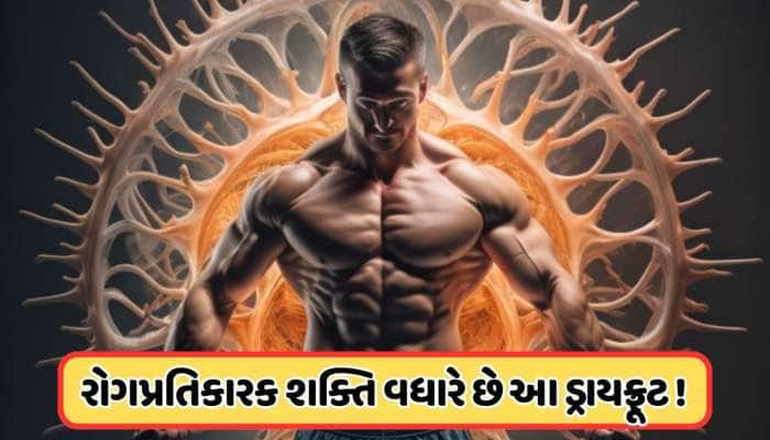 ફક્ત એક ડ્રાયફ્રૂટથી વધારો શરીરની તાકત, દરરોજ તેને પલાળીને કરો સેવન