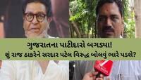 સરદાર પટેલના અપમાન અંગે રાજ ઠાકરે પર બગડ્યા અલ્પેશ કથીરિયા? મનસે નેતાને આપી વોર્નિગ