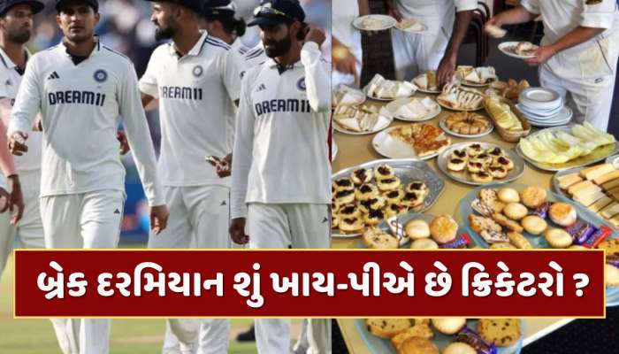 ટેસ્ટ મેચમાં બ્રેક દરમિયાન શું ખાય-પીએ છે ક્રિકેટરો ? ખુલ્યું મોટું રહસ્ય