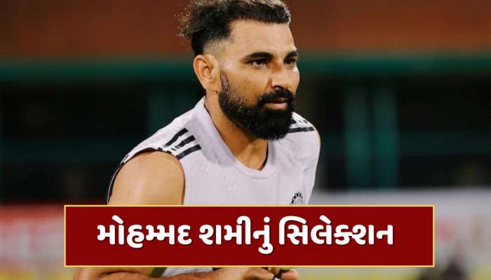 ટેસ્ટ સિરીઝ વચ્ચે અચાનક આવ્યા મોટા સમાચાર, મોહમ્મદ શમીની થઈ પસંદગી, ચાહકોમાં ખુશીની લહેર