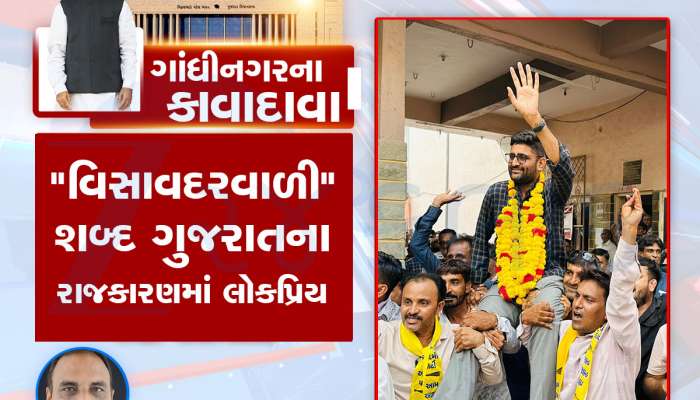 ગાંધીનગરના કાવાદાવા : કૈલાસનાથન અચાનક ગાંધીનગરમાં યાદ આવવા લાગ્યા, વિસાવદરવાળી મોટો ભડકો કરશે     