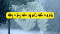 ચોમાસું ફરી સક્રિય થયું, આ જિલ્લામાં ભારે વરસાદની આગાહી; હવામાન વિભાગનું એલર્ટ