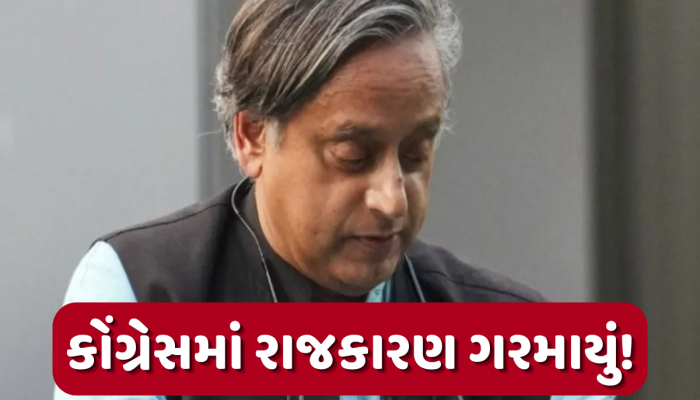 હવે તેઓ આપણામાંથી એક માનવામાં આવતા નથી... શશિ થરૂરને લઈ કોંગ્રેસના નેતાના નિવેદનથી મચી હલચલ, જાણો બીજું શું કહ્યું