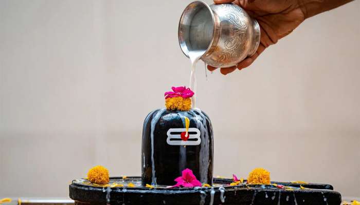 Sawan 2025: શ્રાવણ મહિનામાં કયા સમયે અને કેવી રીતે કરવી શિવ પૂજા, જાણે સરળ વિધિ અને 7 જરૂરી નિયમ