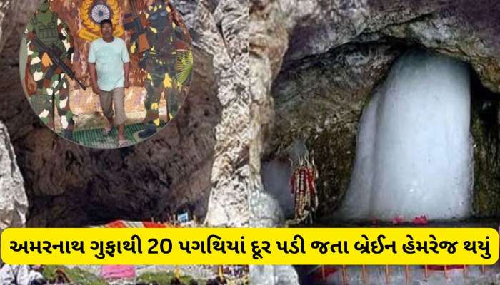 બાબા અમરનાથના દર્શન પણ નસીબ ન થયા, ગુફાથી 20 પગથિયા દૂર વડોદરાવાસીને આવ્યું મોત 