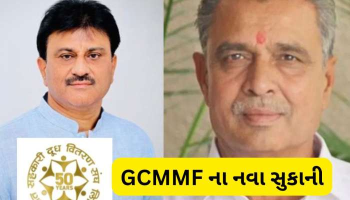 GCMMF માં પરિવર્તન : અશોક ચૌધરી બન્યા નવા સુકાની, ગોરધન ધામેલિયા વાઈસ ચેરમેન