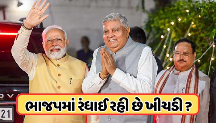 ભાજપ હજુ સુધી અધ્યક્ષ નથી ગોતી શકી અને ઉપરાષ્ટ્રપતિએ આપી દીધું રાજીનામું, BJPમાં થવા જઈ રહી છે નવાજૂની ?