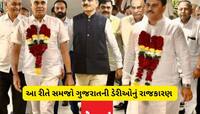 ગુજરાતમાં આ 4 દૂધ ડેરીઓનો સિક્કો વાગે છે, ચેરમેન પણ એમના જ બને! આવું છે સફેદ દૂધનું 