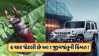 આ છે દુનિયાનું સૌથી મોંઘું જીવડું, કિંમતે એટલી કે આવી જાય 6 થાર ગાડી, જાણો 