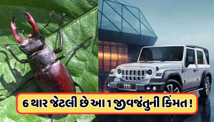 આ છે દુનિયાનું સૌથી મોંઘું જીવડું, કિંમતે એટલી કે આવી જાય 6 થાર ગાડી, જાણો 