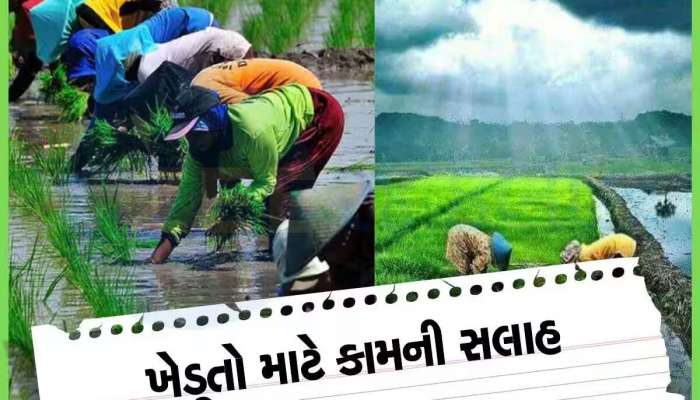 ગુજરાતના ખેડૂતો આટલું ધ્યાન રાખજો! નહીં તો ચોમાસાની સીઝન જશે ફેલ, આટલી કાળજી રાખો!