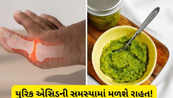   શરીરમાં વધી ગયેલા યુરિક એસિડને શોષી લેશે આ ચટણી, કિડનીની તાકાત વધી જશે, આ રીતે ઘરે તૈયાર કરો