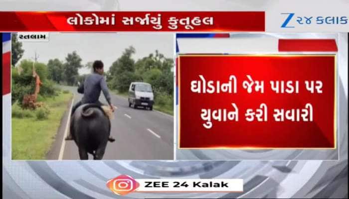 man riding a bull viral video of ratlam