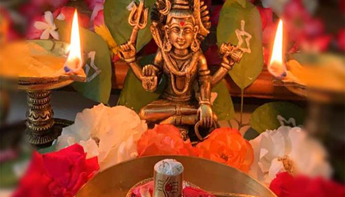 શુક્રવારથી શ્રાવણ માસ શરુ, મહાદેવની પૂજામાં ન કરવી આ ભુલ, કરવાથી થાય છે અનિષ્ટ