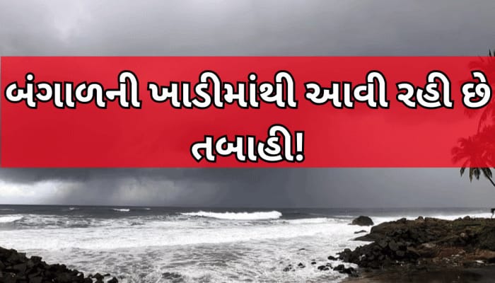 ભયંકર પ્રલય મચશે! IMD નું રેડ એલર્ટ, ગુજરાત સહિત આ 8 રાજ્યો પાણીમાં ડૂબાડૂબ થશે? 