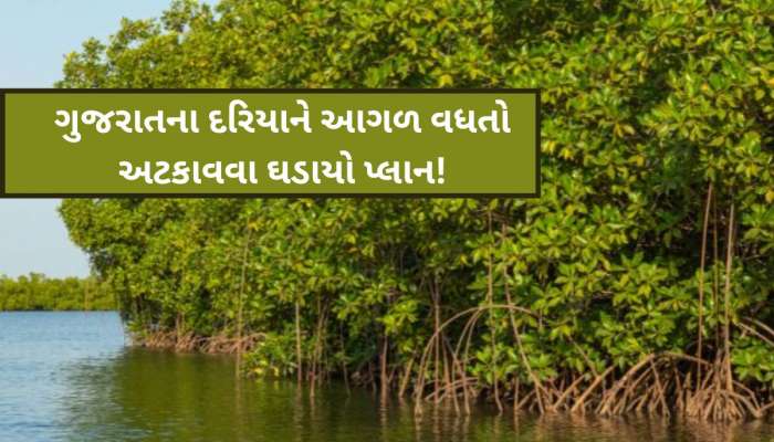 આ યોજના હેઠળ ગુજરાતના દરિયાને આગળ વધતો અટકાવશે! અનોખી સિદ્ધિ સાથે દેશમાં પ્રથમ સ્થાન