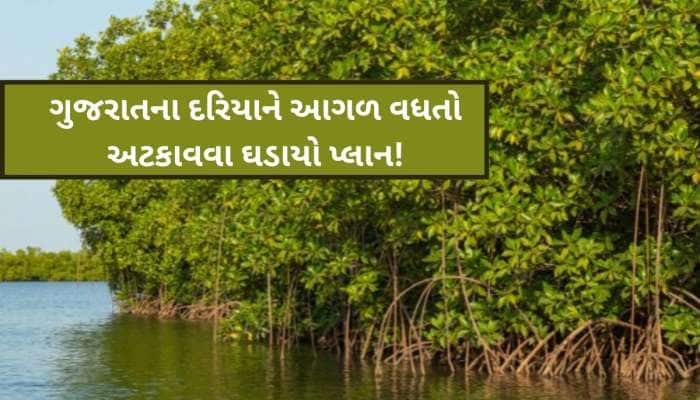 આ યોજના હેઠળ ગુજરાતના દરિયાને આગળ વધતો અટકાવશે! અનોખી સિદ્ધિ સાથે દેશમાં પ્રથમ સ્થાન