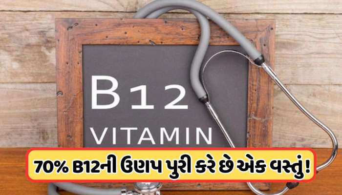 વિટામિન B12 વધારવા માટે શાકાહારીઓએ શું ખાવું જોઈએ? જાણો ડોક્ટરે શું કહ્યું ?