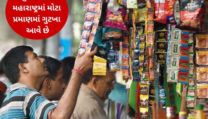 મોટો આક્ષેપ : મહારાષ્ટ્રને બદરબાદ કરી રહ્યાં છે ગુજરાતના ગુટખા, પ્રતિબંધ હોવા છતાં વેચાય છે 