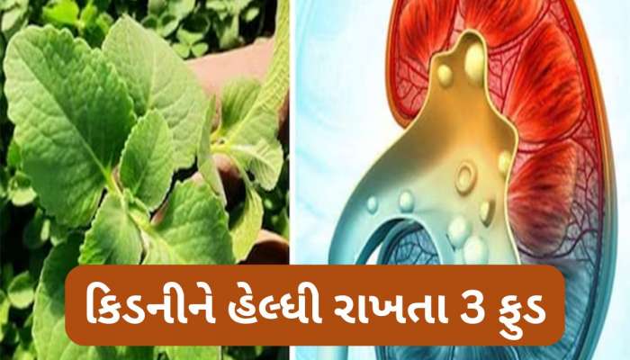 Kidney Health: આ 3 ફુડથી બુસ્ટ થશે કિડનીની સપોર્ટ સિસ્ટમ, કંટ્રોલમાં રહેશે યુરિક એસિડ અને કિડનીમાં પથરી પણ નહીં બને