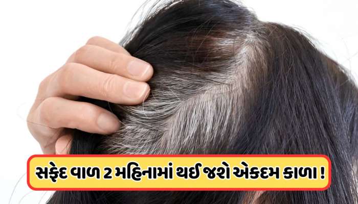 આયુર્વેદિક રીતે સફેદ વાળથી મેળવો છુટકારો, ડોક્ટરે જણાવ્યા ઘરેલું ઉપાય !