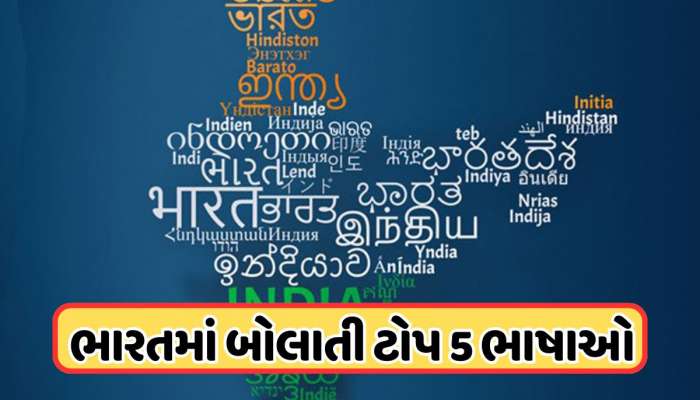 ભાષા વિવાદ વચ્ચે જાણો, ભારતમાં સૌથી વધુ કઈ ભાષા બોલાય છે, ટોપની 5 લેંગ્વેજનું સમગ્ર લિસ્ટ
