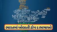ભાષા વિવાદ વચ્ચે જાણો, ભારતમાં સૌથી વધુ કઈ ભાષા બોલાય છે, ટોપની 5 લેંગ્વેજનું લિસ્ટ 