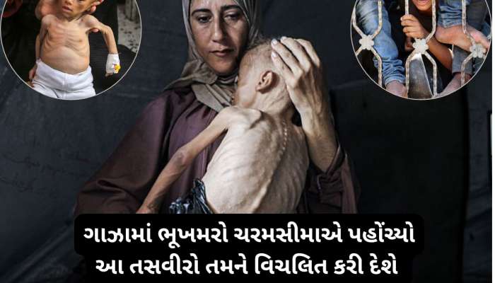 ગાઝાથી ભૂખમરાની ભયાવહ તસવીરો : ભૂખથી તડપીને ખોરાક માટે જમીન પર દોડી રહેલા લોકો 