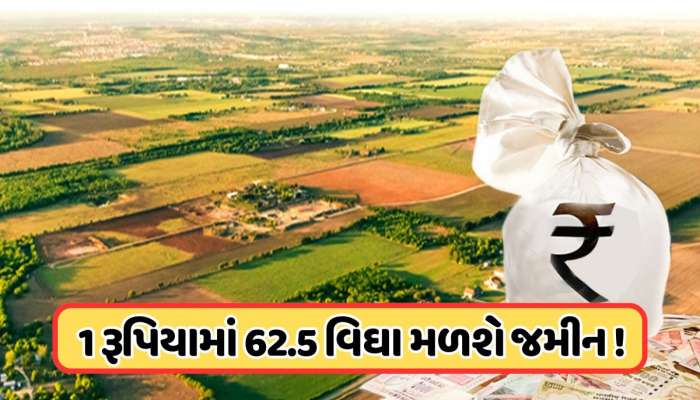  ફક્ત 1 રૂપિયામાં મળી રહી છે 25 એકર જમીન, જાણો કોણ કરી શકે છે અપ્લાય?