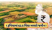 ફક્ત 1 રૂપિયામાં મળી રહી છે 25 એકર જમીન, જાણો કોણ કરી શકે છે અપ્લાય?