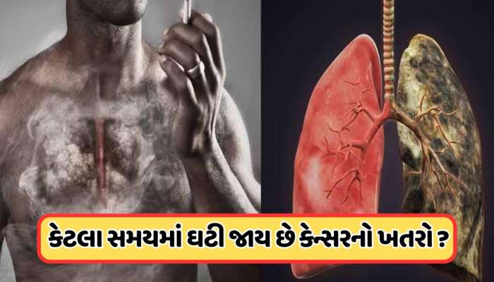 ધૂમ્રપાન છોડ્યા પછી ફેફસાંને સ્વસ્થ થવામાં કેટલો સમય લાગે છે? ડૉક્ટર આપ્યો આ જવાબ