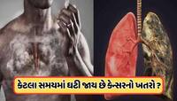 ધૂમ્રપાન છોડ્યા પછી ફેફસાંને સ્વસ્થ થવામાં કેટલો સમય લાગે છે? ડૉક્ટર આપ્યો આ જવાબ